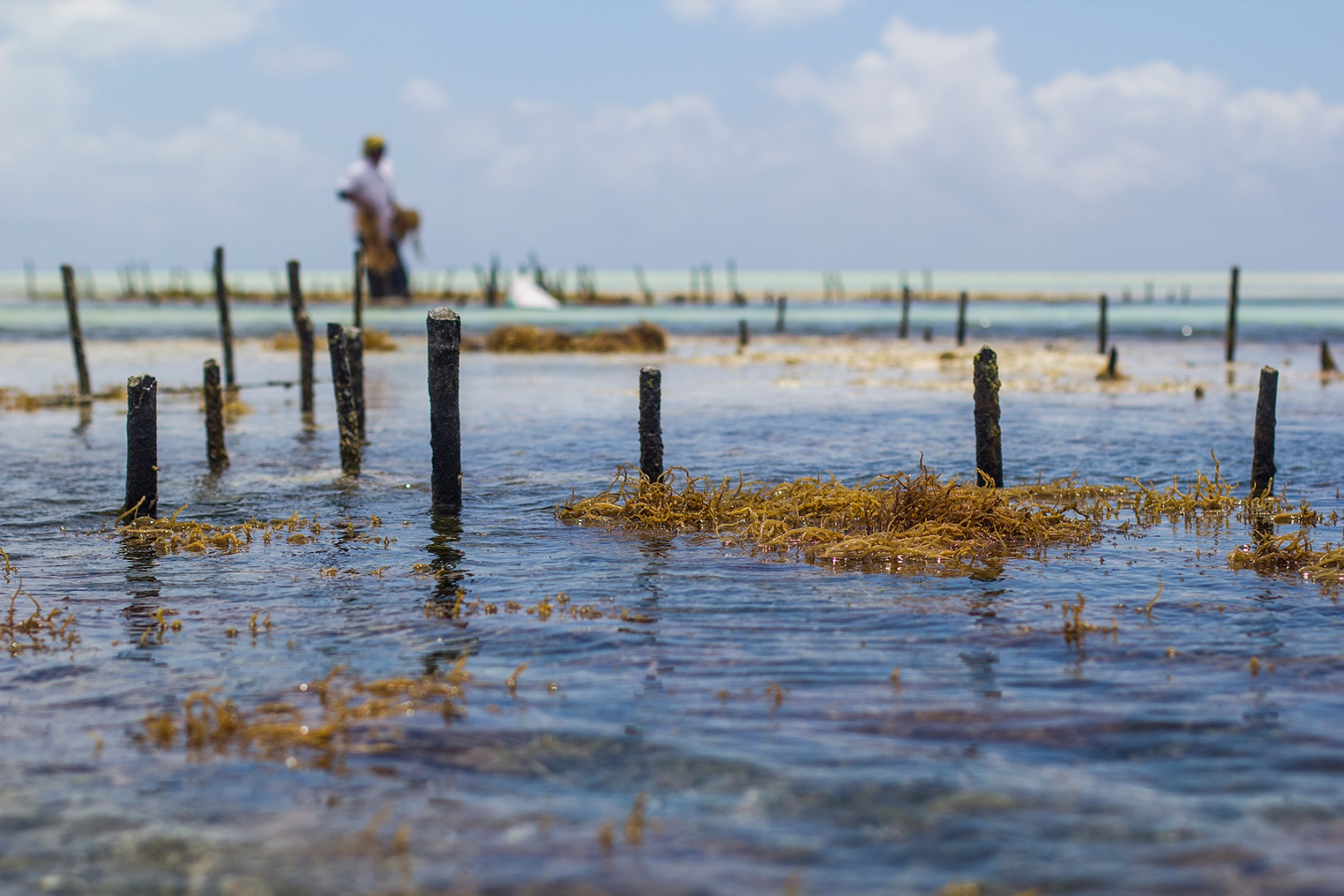 Zanzibar Beach